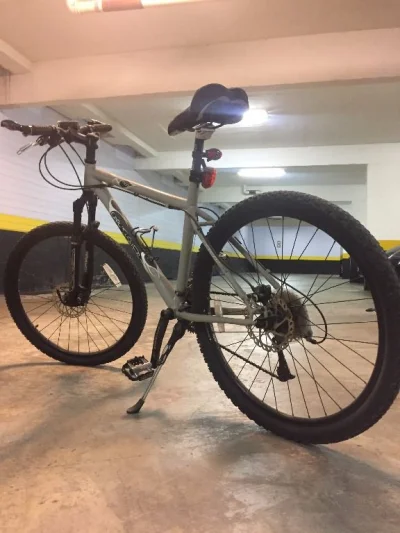 Bicicleta Garry Fisher Gold Series