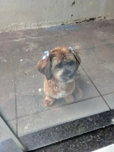 Vende SE