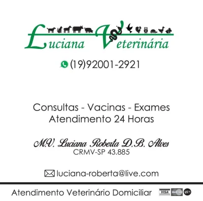 Veterinário 24 Horas