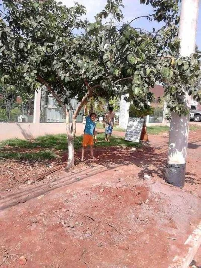 Vendo Floricultura