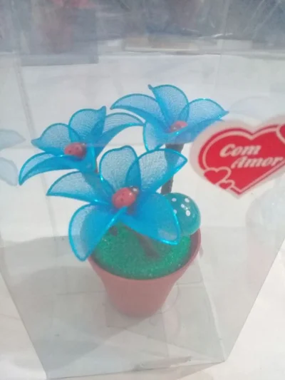 Florzinha de Meia