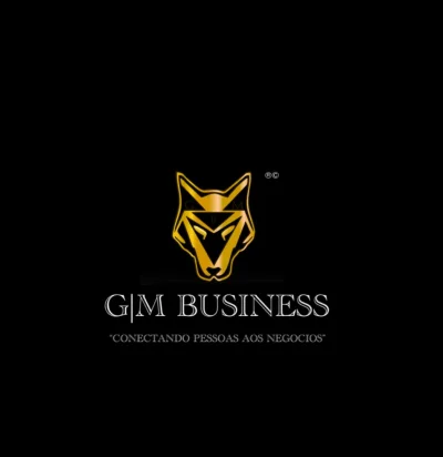 GM Business Consultor de Negocios