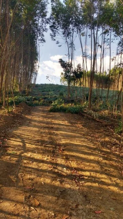Terrenos. Nazaré Paulista