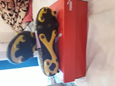 Chuteira da Puma Original na Caixa