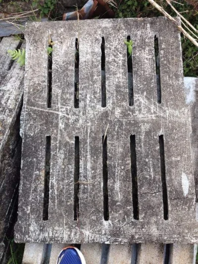 Piso Vazado para Suinos