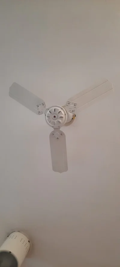 Ventilador de Teto