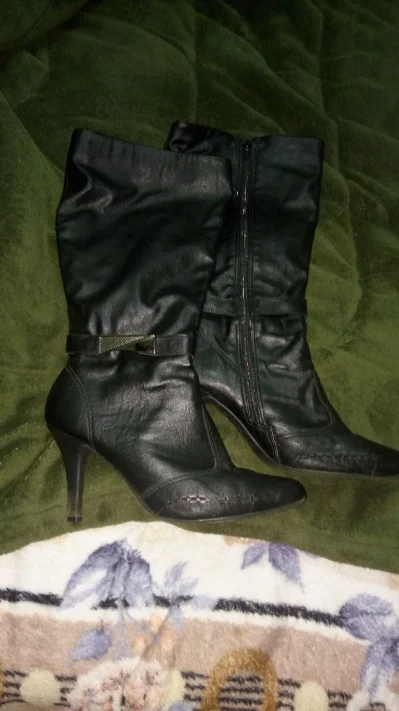 Bota