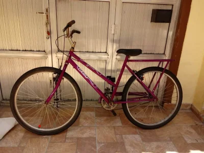 Bicicleta Adulto
