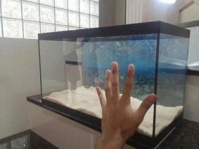 Aquário Novo 50 Cm