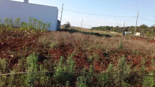 Terreno em Santa Tereza do Oeste PR