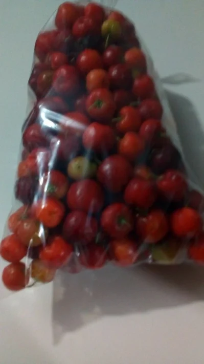 Frutas Acerola