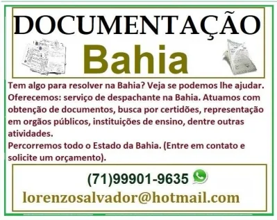 Despachante em Salvador Bahia