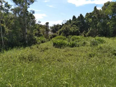 Terreno Escriturado à Venda em Itanhaém