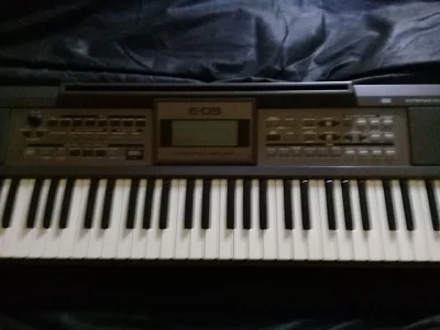 Teclado Profissional Arranjador Roland E-09