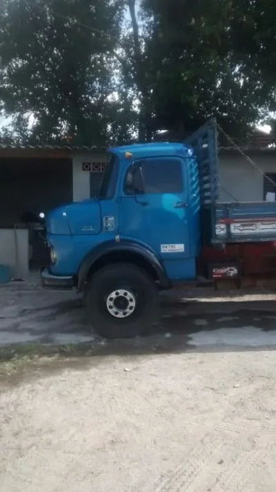 Caminhão 1113 Truck