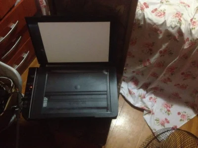 Impressora Epson Stylus Tx 115