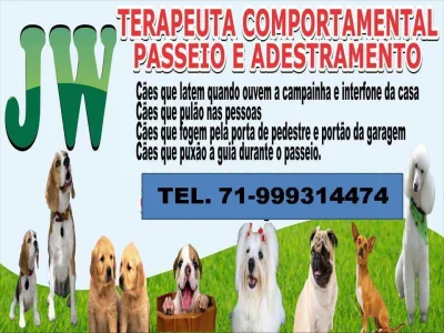 Curso para Passeadores de Cães