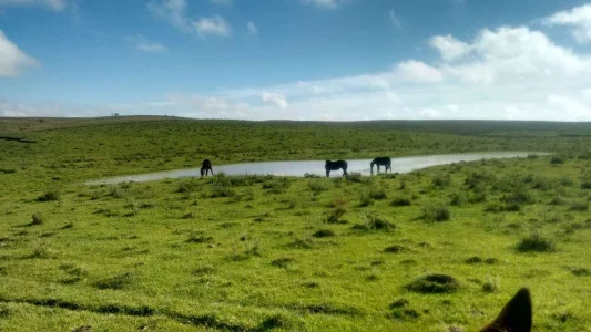 Vendo Campo