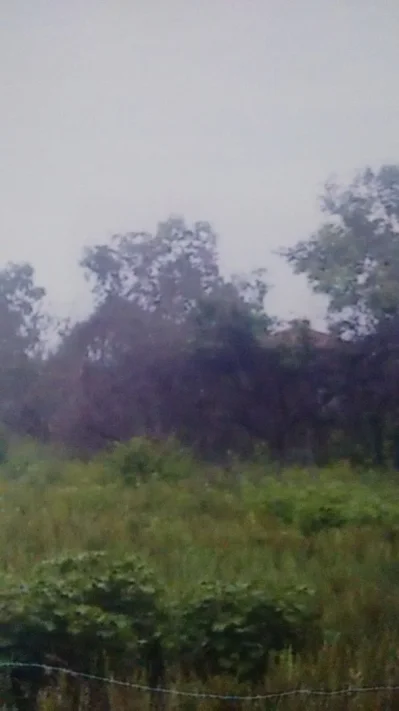 Terrenos 2.500 Sinal Vale das Pedrinhas Guapi