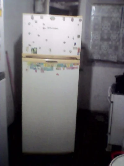 Geladeira Electro Lux Duas Portas