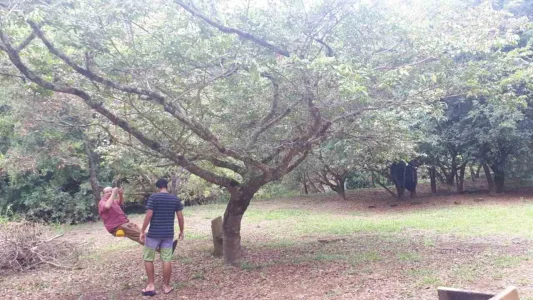 Rancho Beira do Rio Itapetininga. Oportunidade!