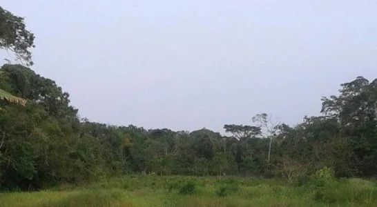 Terreno 2.500m2