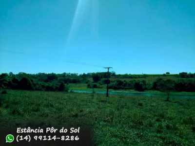 Terrenos e Lotes Promissão-s.p: Corrego Rico