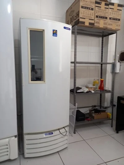 Freezer Vertical