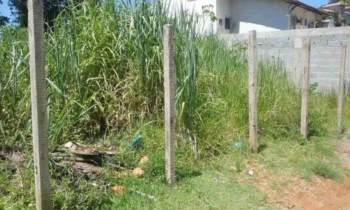 Vendo Terreno em Ibicuí. Vista Indevassável