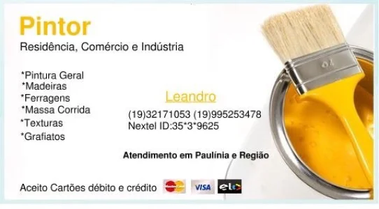 Pintor Paulínia e Região