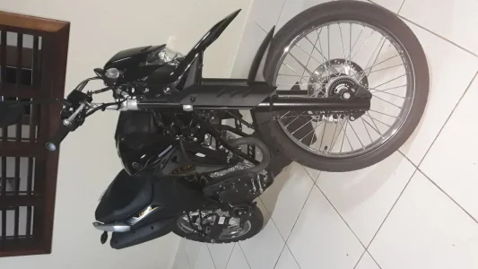 Lander 2019 2020