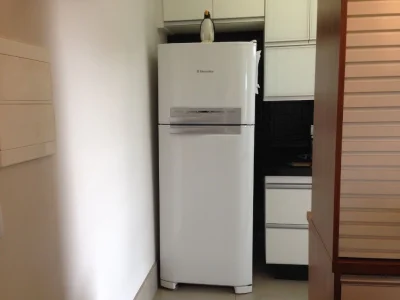 Geladeira Electrolux Df46 402 L 110v