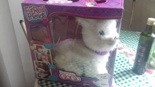 Cachorro a Pilhas