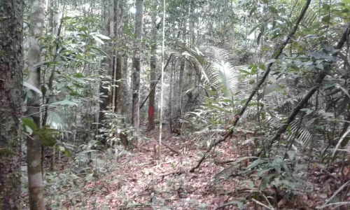 Terreno na Am010 Km 35