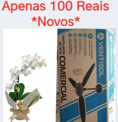 Ventilador de Teto Novo