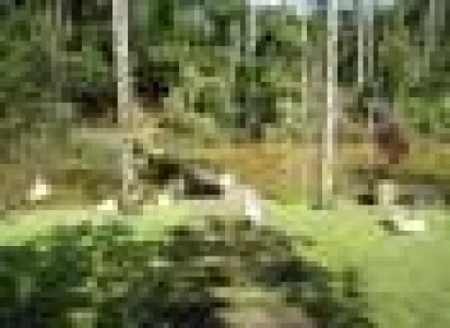 Serra Cantareira Cond. Parque Suiça