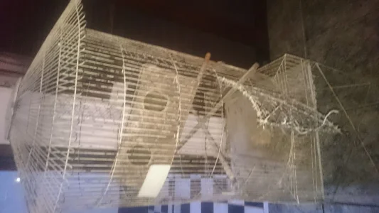 Viveiro Utilizado para Calopsita Chocar