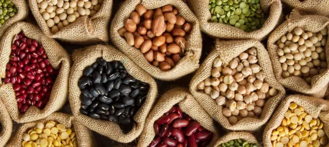 Compra de Grãos para Empresas: Corretor de Grãos, Intermediação Agríco