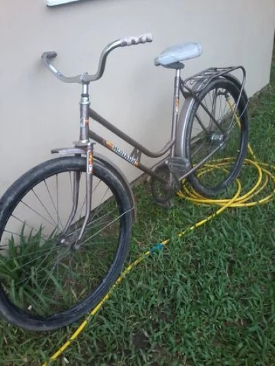 Monark 83