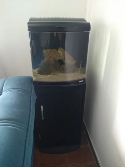 Aquário de água Salgada + Móvel