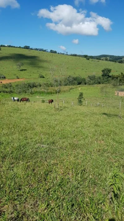 Terreno com ótima Localização em Cruzilia-mg