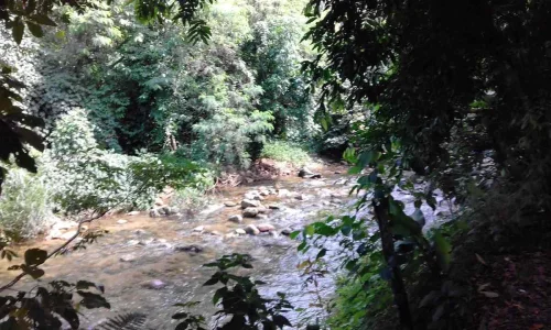 7 Lotes (cada um com 500m2, Aproximadamente). de Fundo para Cachoeira