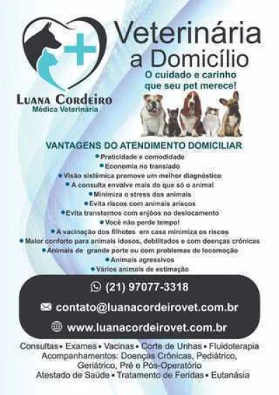 Veterinária a Domicílio