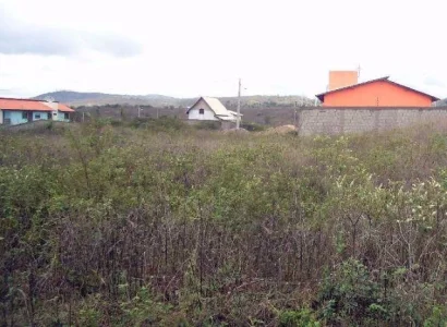 Lote Riacho do Mel