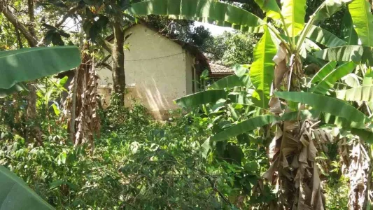 Terreno com 1200m2