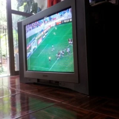 TV Sony 29" Wega Trinitron com Subwoofer
