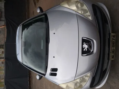 Peugeot 207 Passion Xs 1.6 16v (flex) 2009