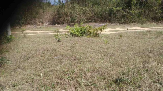 Terreno em Itaborí