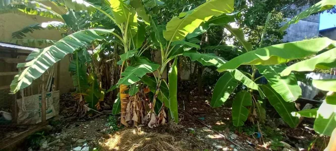 Terreno em Sepetiba RJ