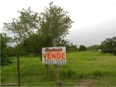 Terreno Ideal para Sítio em Agro-brasil-caetano Imoves
